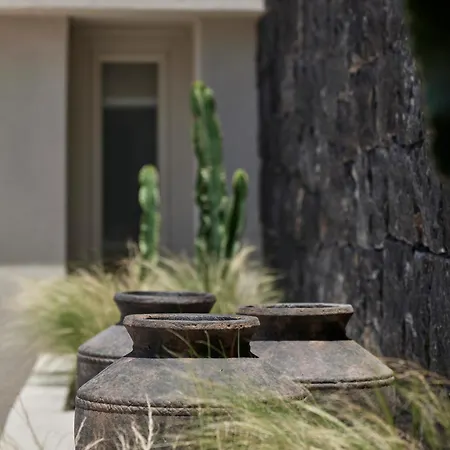 Apartment Alaso Design *