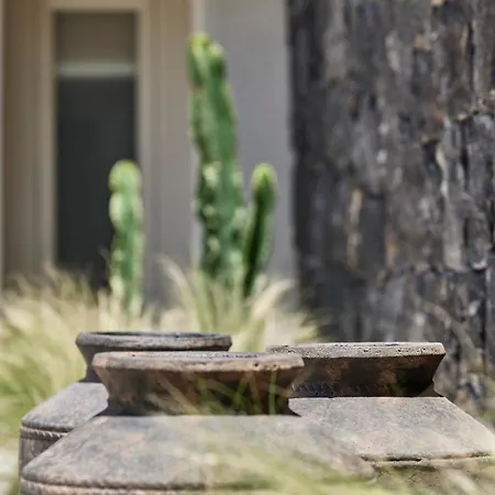 Alaso Design Apartamento