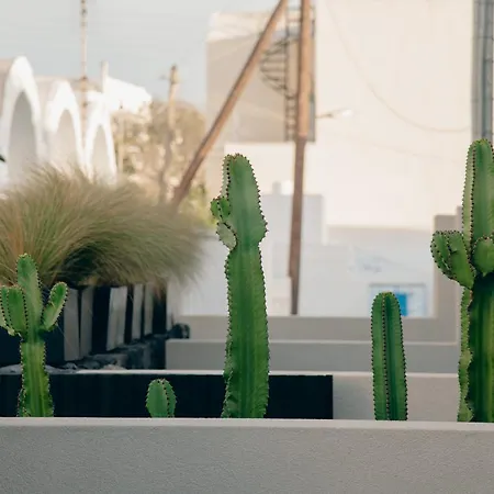 Alaso Design Apartamento